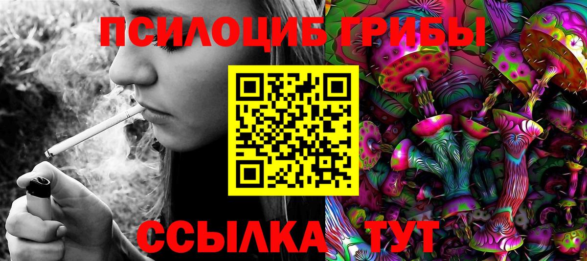 Псилоцибиновые грибы Cubensis  Галлюциногенные грибы Cubensis  Вход с VPN  Донской 